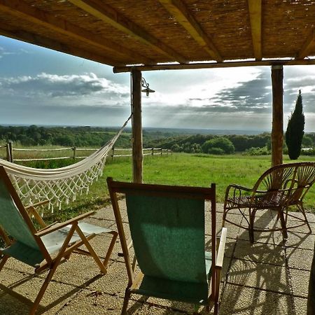 Bolgheri Apartment Sleeps 4 Air Con Wifi T226667 Eksteriør bilde