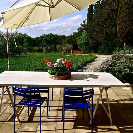 Bolgheri Apartment Sleeps 4 Air Con Wifi T226667 Eksteriør bilde