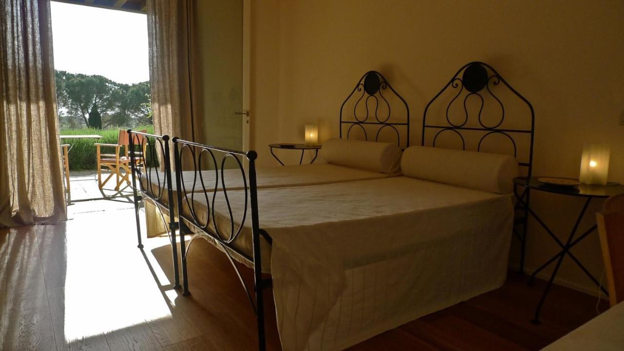 Bolgheri Apartment Sleeps 4 Air Con Wifi T226667 Eksteriør bilde