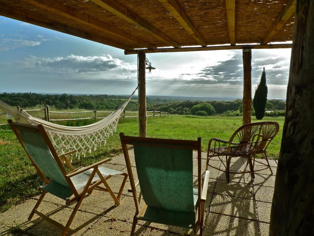 Bolgheri Apartment Sleeps 4 Air Con Wifi T226667 Eksteriør bilde