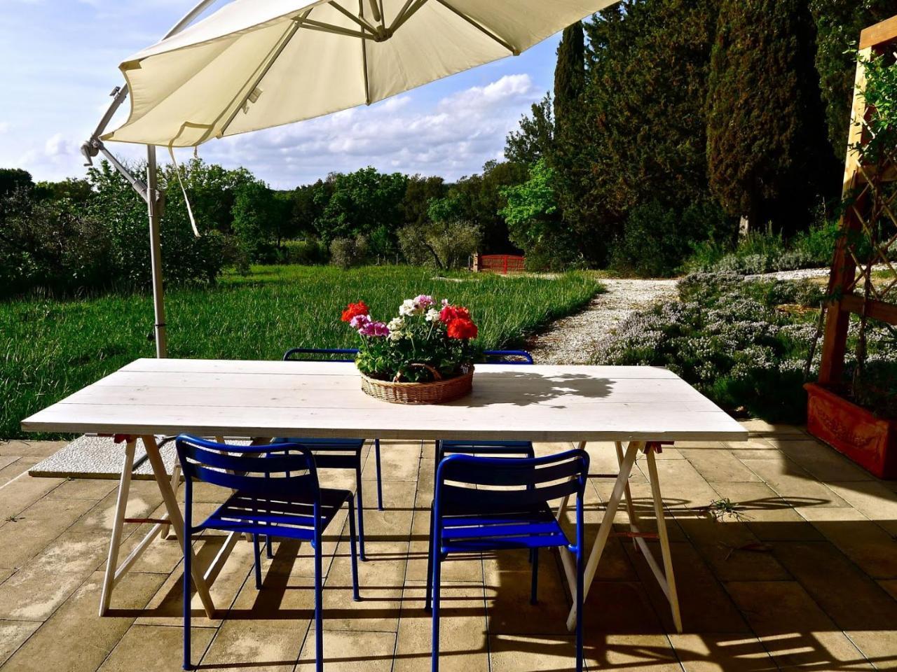 Bolgheri Apartment Sleeps 4 Air Con Wifi T226667 Eksteriør bilde