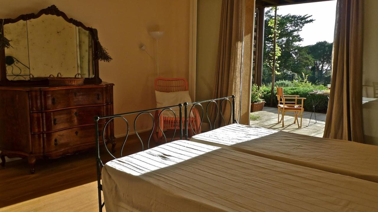 Bolgheri Apartment Sleeps 4 Air Con Wifi T226667 Eksteriør bilde